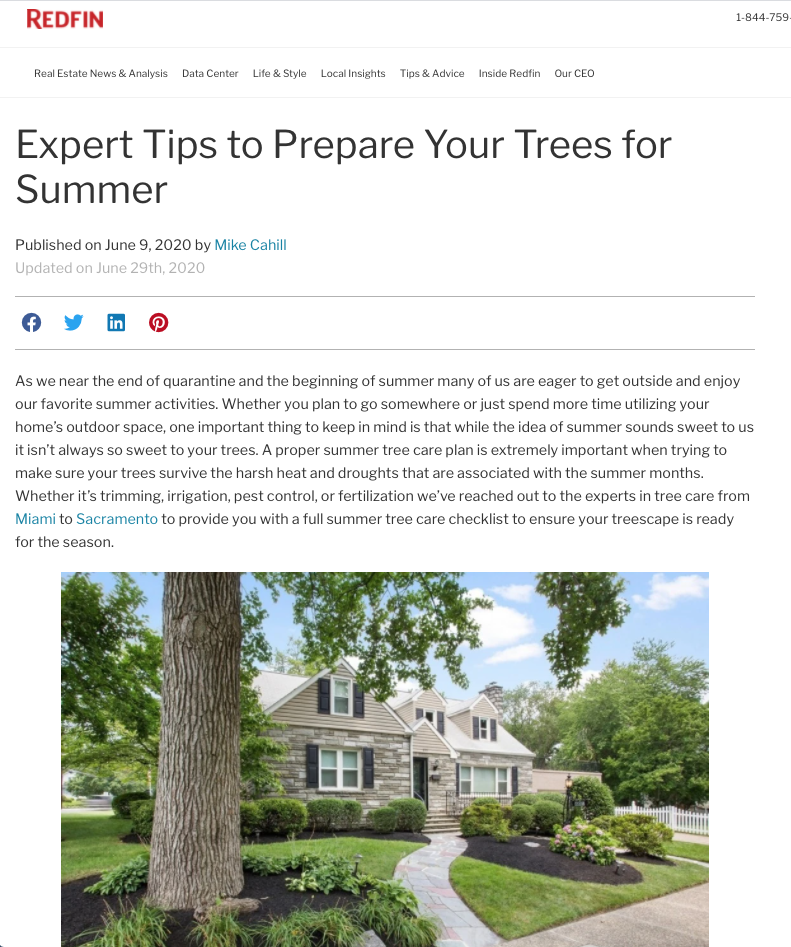 Tree Care Tips