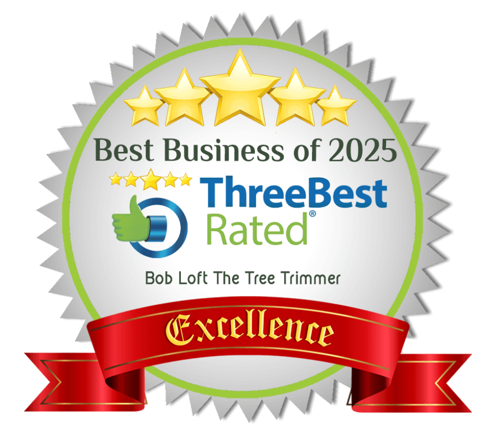 Homepage - Bob Loft the Tree Trimmer