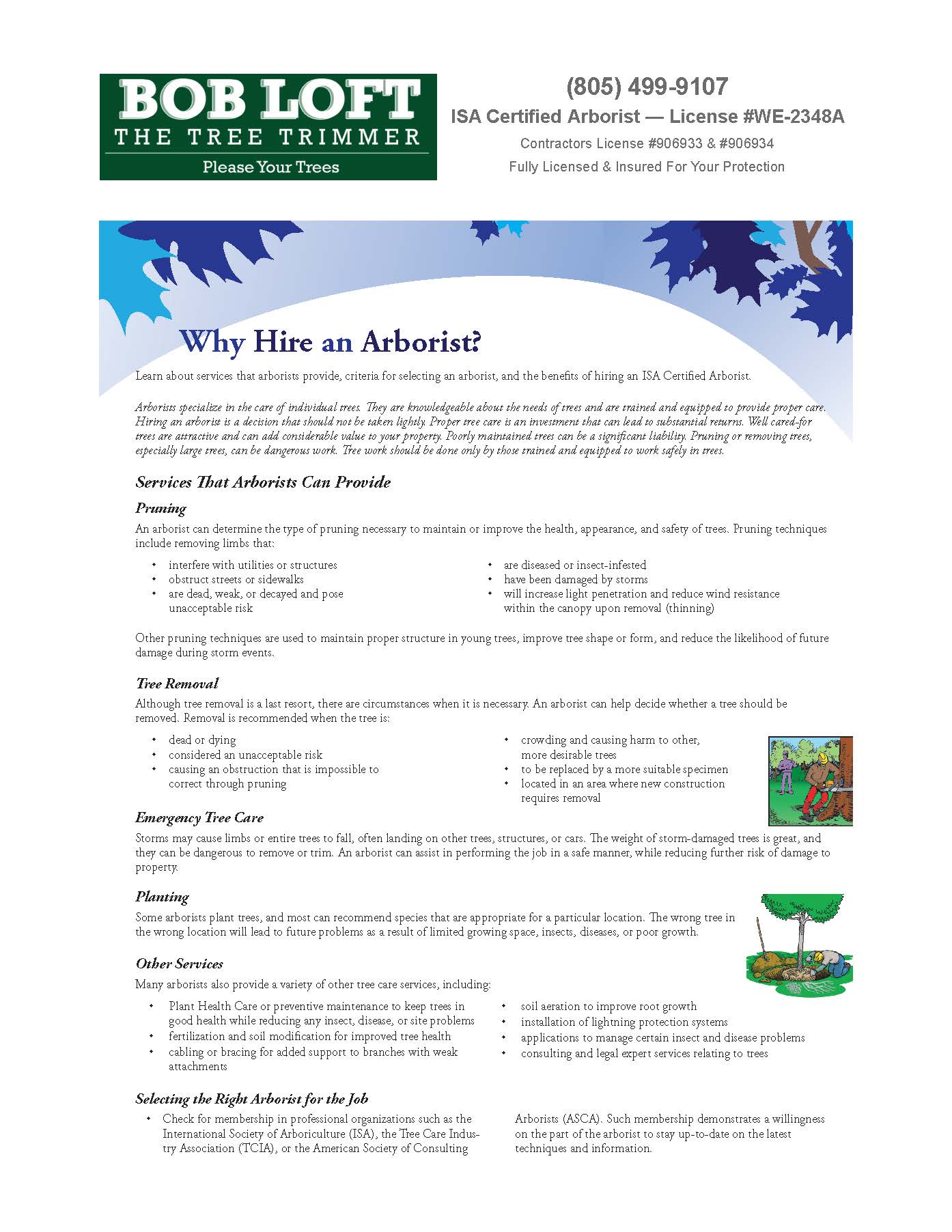 Why Hire An Arborist flyer